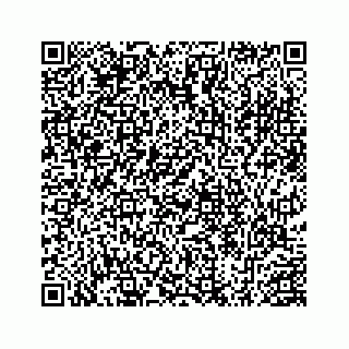 vCard 78452999173
