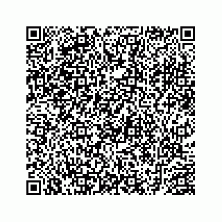 vCard 78452999199