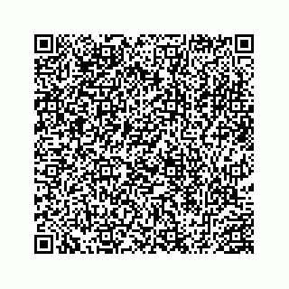 vCard 78452999207