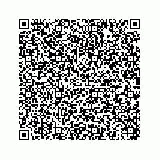 vCard 78452999208