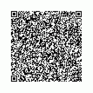 vCard 78452999211