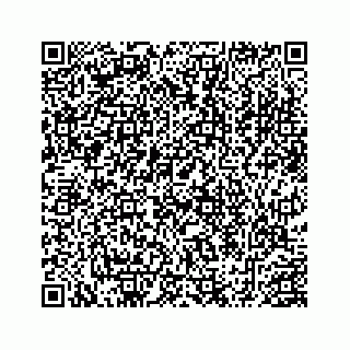 vCard 78452999307