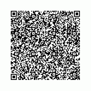 vCard 78452999309