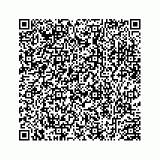 vCard 78452999313