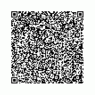 vCard 78452999331