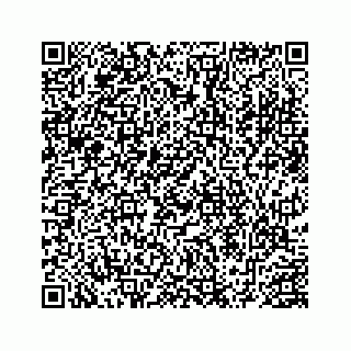 vCard 78452999381