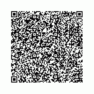 vCard 78452999387
