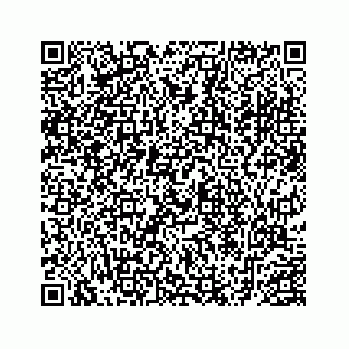 vCard 78452999390