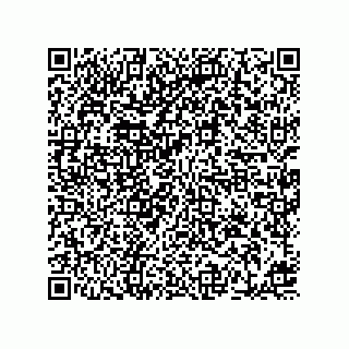 vCard 78453230020