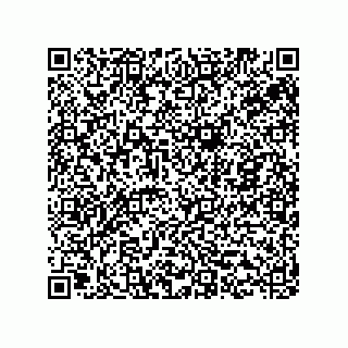 vCard 78453340181