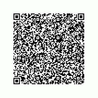 vCard 78453340387