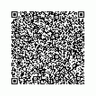 vCard 78453390002