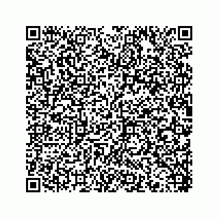 vCard 78453390003