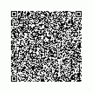 vCard 78453390004