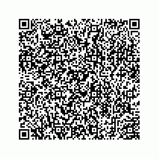vCard 78453390006