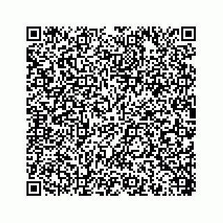 vCard 78453390008