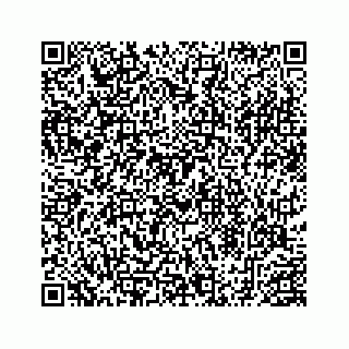 vCard 78453390009