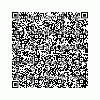 vCard 78453390010