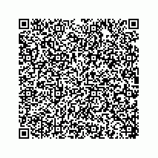 vCard 78453390011