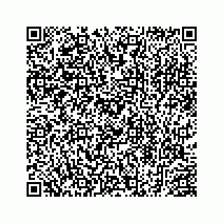 vCard 78453390013