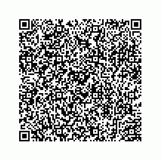 vCard 78453390018