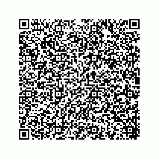 vCard 78453390019
