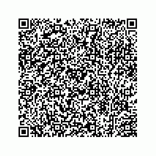 vCard 78453390020