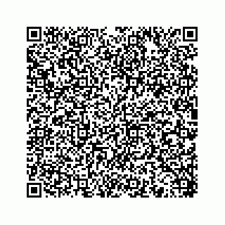 vCard 78453390028