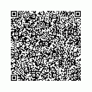 vCard 78453390029
