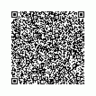 vCard 78453390031