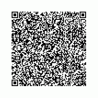 vCard 78453390035