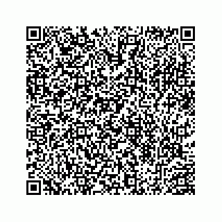 vCard 78453390040