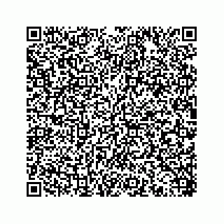 vCard 78453390041