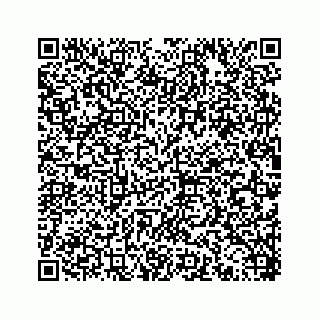 vCard 78453390046