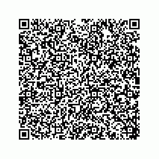 vCard 78453390048