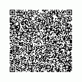 vCard 78453390061