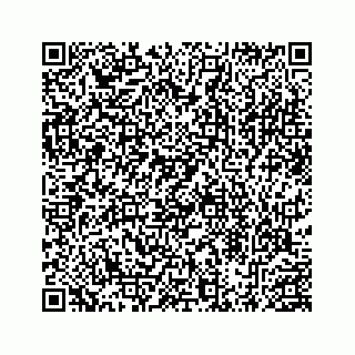 vCard 78453390063