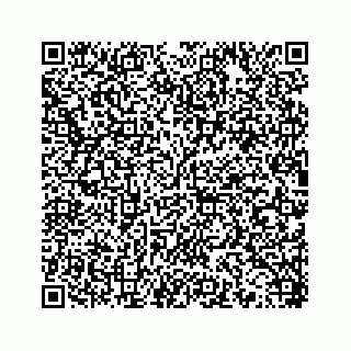 vCard 78453390080