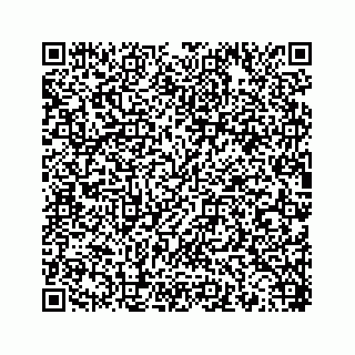 vCard 78453390081
