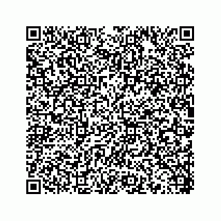vCard 78453390085