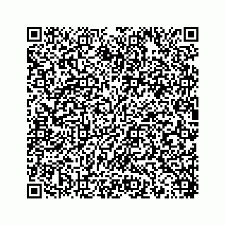 vCard 78453390087