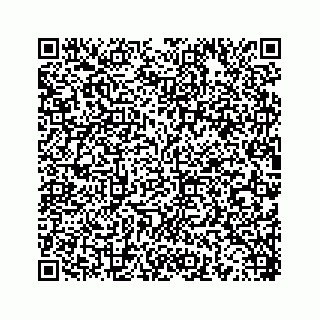 vCard 78453390091
