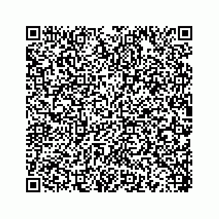 vCard 78453390095