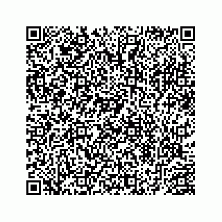 vCard 78453390099
