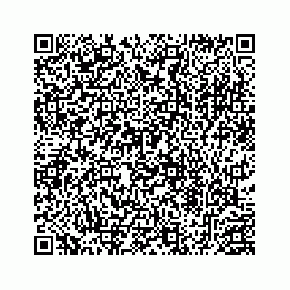 vCard 78453390100