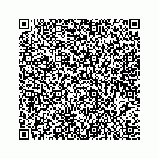 vCard 78453390101