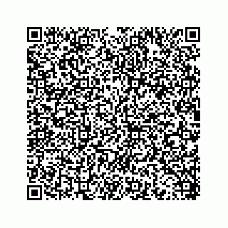 vCard 78453390111