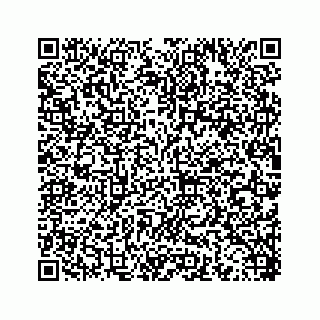 vCard 78453390113