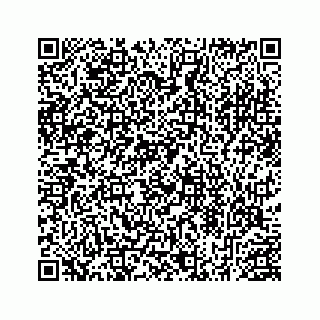 vCard 78453390131