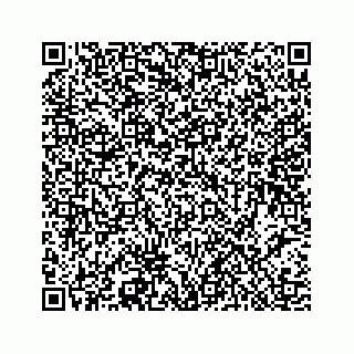 vCard 78453390141
